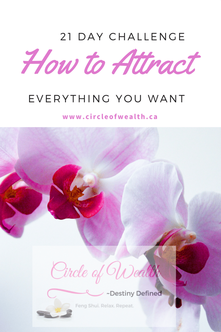 21 Day Challenge How to Attract