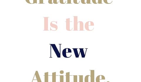 gratitude is the new attitude