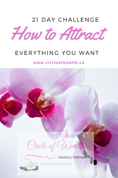 how to attract everything you want 21 day challenge