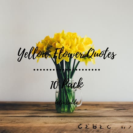 Yellow Flowers Inspirational Instagram Quotes