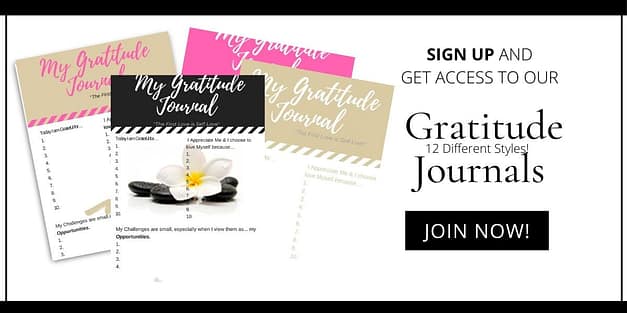 gratitude journal collection