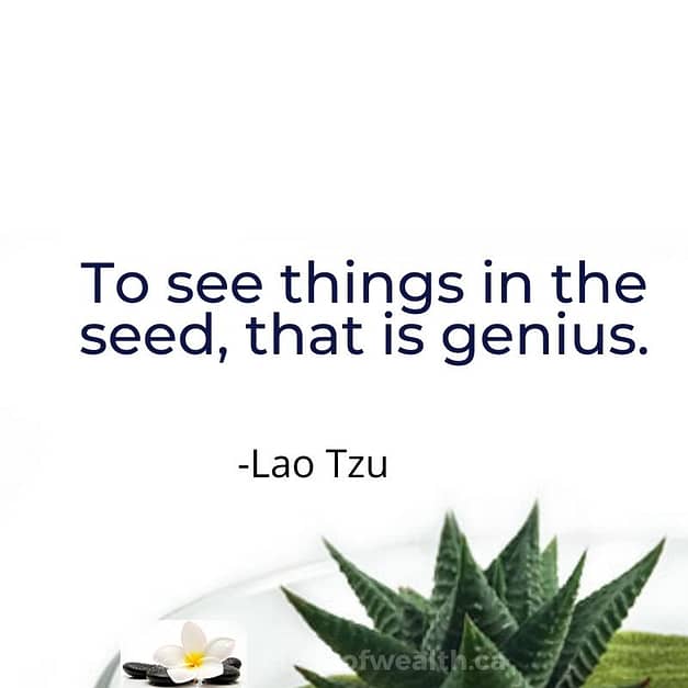 Lao Tzu Collection of Quotes