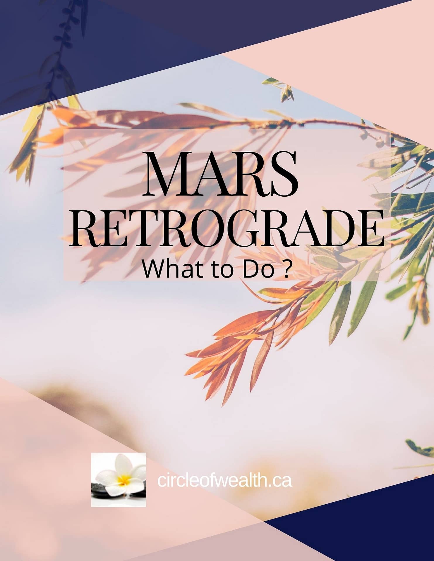 Mars In Retrograde What to do